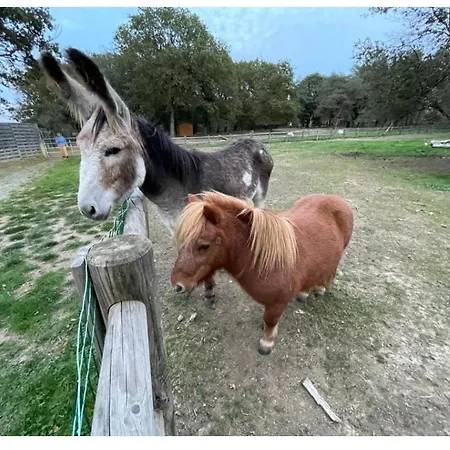 Mobil 6 Personnes - Puy Du Fou Campingplatz